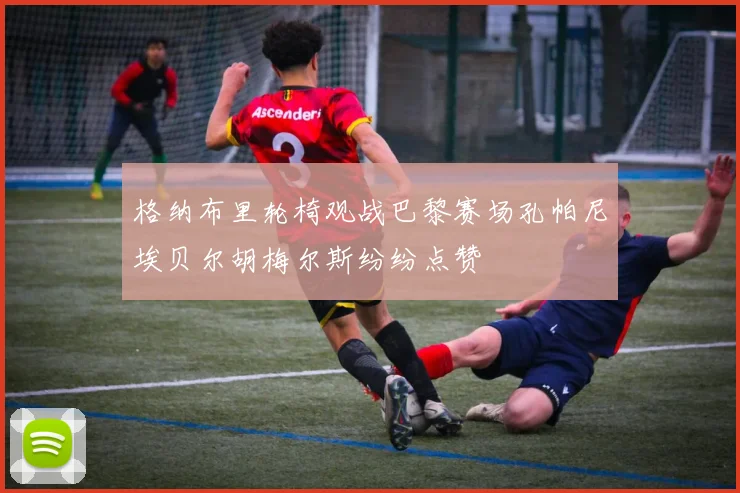 格纳布里轮椅观战巴黎赛场孔帕尼埃贝尔胡梅尔斯纷纷点赞
