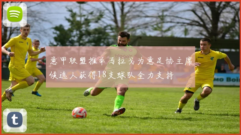 意甲联盟推举马拉戈为意足协主席候选人获得18支球队全力支持